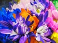 Beautiful Bright Closeup Colourful Daisy Flowers Bouquet On Display Royalty Free Stock Photo