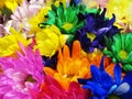 Beautiful Bright Closeup Colourful Daisy Flowers Bouquet On Display Royalty Free Stock Photo