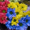 Beautiful Bright Closeup Colourful Daisy Flowers Bouquet Royalty Free Stock Photo