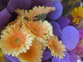 Beautiful Bright Closeup Light Yellow Gerbera Daisy Flowers Bouquet On Display Royalty Free Stock Photo