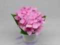 Beautiful Bright Closeup Pink White Hydrangea Flowers in Mini Vase Display 2020