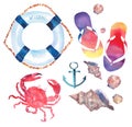 Beautiful bright colorful lovely summer marine beach pattern of flip flops red crabs pastel cute seashells blue lifebuoy and dark