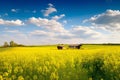 Beautiful bright colorful natural rural panoramic landscape with yellow rapeseed field Generative AI.