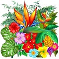 Tropical Nature Botanical Garden Vector Illustration
