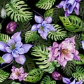 Beautiful bright columbine flowers or aquilegia and exotic monstera leaves on black background. Watercolor painting.