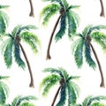 Beautiful bright cute green tropical lovely wonderful hawaii floral herbal summer pattern of a palm trees watercolor hand sketch Royalty Free Stock Photo