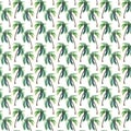 Beautiful bright cute green tropical lovely wonderful hawaii floral herbal summer pattern of a palm trees watercolor hand sketch Royalty Free Stock Photo