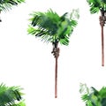 Beautiful bright cute green tropical lovely wonderful hawaii floral herbal summer pattern of a palm trees watercolor hand sketch Royalty Free Stock Photo