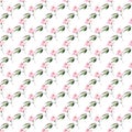 Beautiful bright elegant wonderful colorful tender gentle pink spring herbal rose with buds and green leaves pattern watercolor ha Royalty Free Stock Photo