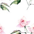 Beautiful bright elegant wonderful colorful tender gentle pink spring herbal rose with buds and green leaves pattern watercolor ha Royalty Free Stock Photo