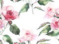 Beautiful bright elegant wonderful colorful tender gentle pink spring herbal rose with buds and green leaves pattern watercolor ha Royalty Free Stock Photo