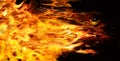 Beautiful bright fire flames on black background. Banner design Royalty Free Stock Photo