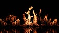 Beautiful fire flames on black background Royalty Free Stock Photo