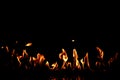 Beautiful fire flames on black background Royalty Free Stock Photo