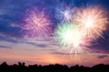 Beautiful bright fireworks lighting up twilight sky outdoors Royalty Free Stock Photo