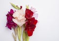 beautiful bright gladiolus flower spring bouquet on the white Royalty Free Stock Photo