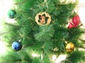 Beautiful bright green branches of a Christmas tree decorated with colorful toys close-up. Royalty Free Stock Photo