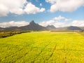 Beautiful bright green landscape of sugarcane fields in front of the black river national park mountains on Mauritius Royalty Free Stock Photo