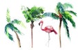 Beautiful bright green lovely wonderful hawaii floral summer pattern of a tropical green palm trees and tender pink flamingoes wat