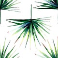 Beautiful bright green tropical wonderful hawaii floral herbal summer horizontal pattern of a palms watercolor Royalty Free Stock Photo