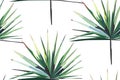 Beautiful bright green tropical wonderful hawaii floral herbal summer horizontal seamless pattern of a palms vector illustration