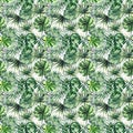 Beautiful bright green tropical wonderful hawaii floral herbal summer pattern of palms watercolor Royalty Free Stock Photo