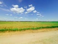 Beautiful bright landscape of the summer field with green grass and trees on the horizon and a bright blue sky with Royalty Free Stock Photo