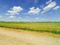 Beautiful bright landscape of the summer field with green grass and trees on the horizon and a bright blue sky with Royalty Free Stock Photo