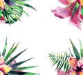 Beautiful bright lovely colorful tropical hawaii floral herbal summer frame of tropical flowers hibiscus orchids and palms leaves Royalty Free Stock Photo