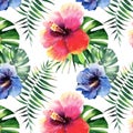 Beautiful bright lovely colorful tropical hawaii floral herbal summer pattern of tropical flowers hibiscus and palms leaves waterc Royalty Free Stock Photo