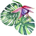 Beautiful bright lovely colorful tropical hawaii floral herbal summer pattern of tropical violet flowers orchids and palms leaves