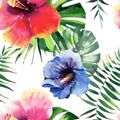 Beautiful bright lovely wonderful green tropical hawaii floral herbal summer colorful pattern of tropical flowers hibiscus and pal Royalty Free Stock Photo