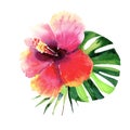 Beautiful bright lovely wonderful green tropical hawaii floral herbal summer colorful pattern of tropical flowers hibiscus and pal Royalty Free Stock Photo