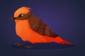 Beautiful bright orange tufted Vermilion Flycatcher bird. Vector isolated cartoon illustration.