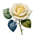 A beautiful, bright rose painting. AI-Generated.