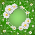 Beautiful bright round frame with 3d paper cut out chamomiles on green background