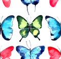 Beautiful bright sophisticated magnificent wonderful tender gentle spring tropical green red blue purple butterflies pattern Royalty Free Stock Photo