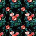 Beautiful bright spring floral pattern of red poppies with green leaves and heads on black background watercolor Royalty Free Stock Photo