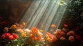 Beautiful bright still life with red flowers