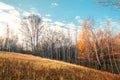 Beautiful bright sunny colorful autumn landscape. Morning among trees with foliage in nature outdoors in an orange-yellow golden Royalty Free Stock Photo