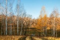 Beautiful bright sunny colorful autumn landscape with a road. Morning among trees with foliage in nature outdoors in an orange- Royalty Free Stock Photo