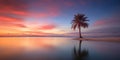 Beautiful bright sunset on a tropical paradise beach.