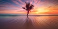 Beautiful bright sunset on a tropical paradise beach. Tranquil summer vacation