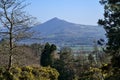Beautiful bright view of easily distinguished Great Sugar Loaf Mountain seen from Ballycorus lead mining trail on sunny day Royalty Free Stock Photo