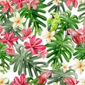 Beautiful bright watercolor pattern with tropical leaves and flowers Plumeria, Hibiscus and Parrot. Royalty Free Stock Photo