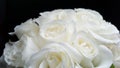 Beautiful bright white roses in a bouquet. Bride`s bouquet. A gift for your beloved woman, mother, sister, daughter. Dark back