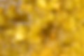 yellow blurry texture