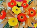 Gerbera daisies Royalty Free Stock Photo