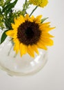 Bright Yellow Sunflower in Vase Royalty Free Stock Photo