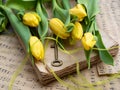 Beautiful bright yellow tulips laying on old book and musical note sheet.